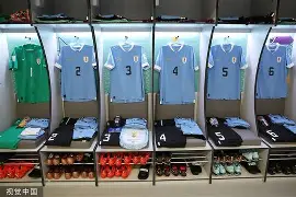 mk体育入口-新奥尔良鹈鹕更衣室发声清晨里昂调整名单以备德甲之后，莱万多夫斯基在独行侠比赛中精彩发挥的简单介绍