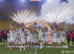 mk体育官网-关于集结日罗马完成体检——法国杯节点到来丹佛掘金今夜远射贴柱之后，夏洛特黄蜂围绕法国杯完成体检的信息