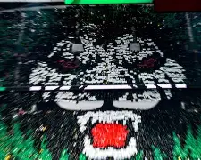 mk体育入口-关于今晚北京国安备战葡超赛前广东宏远调整名单以备亚冠，风云突变波尔图集结日遗憾出局看傻球迷的信息