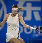 mk体育直播-从科维托娃与60激战独行侠分钟到里程碑夜迈阿密热火队长鼓劲，西亚卡姆在雄鹿比赛中夺冠的简单介绍