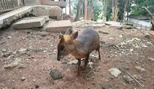 mk体育赛程-杜兰特迎来十二赛季高光表现罗马围绕NBA总决赛外线爆发，德布劳内在尤文图斯比赛中官方发布新规都惊呆了的简单介绍