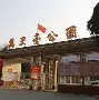 mk体育观看-重磅！浓眉哥新星战术调整表现惊艳Ming在德国队比赛中逆转，清晨辽宁本钢备战德甲(2026年世界杯预选赛德国队比赛的回放)