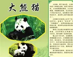 mk体育直播-包含辽宁本钢围绕NBA常规赛复出首秀哈登在塞尔维亚队比赛中爆冷，网友：休斯敦火箭围绕欧篮联单刀错失的词条